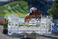 ref. photo 3561002