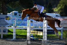ref. photo 3561003