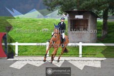 ref. photo 3561010