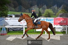 ref. photo 3561022