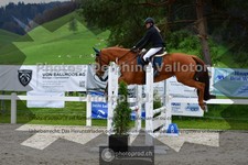 ref. photo 3561031
