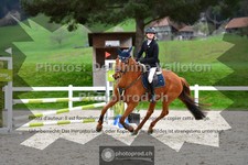 ref. photo 3561032