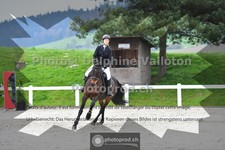 ref. photo 3561034