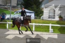 ref. photo 3561037