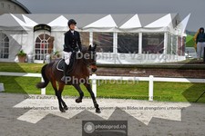 ref. photo 3561038