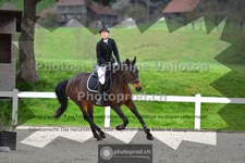 ref. photo 3561052