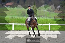 ref. photo 3561053
