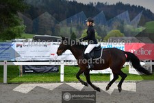 ref. photo 3561054