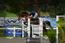 ref. photo 3561068