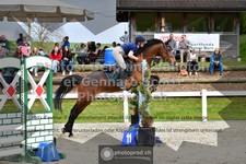 ref. photo 3561070