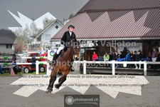 ref. photo 3561079
