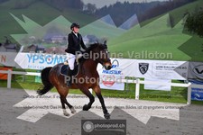 ref. photo 3561082