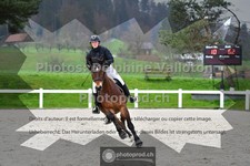 ref. photo 3561091