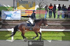 ref. photo 3561096