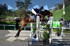 ref. photo 3561104