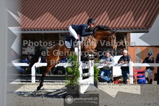 ref. photo 3561105