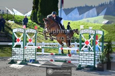 ref. photo 3561106