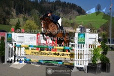 ref. photo 3561107