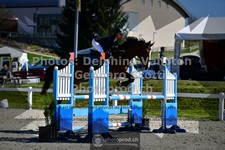 ref. photo 3561114