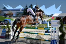 ref. photo 3561115