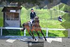 ref. photo 3561117