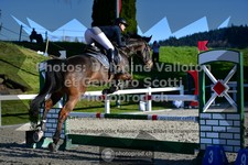 ref. photo 3561128