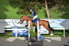 ref. photo 3561140