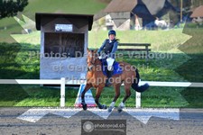 ref. photo 3561141