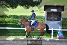 ref. photo 3561146