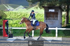 ref. photo 3561147