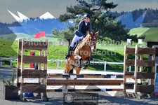 ref. photo 3561150