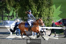 ref. photo 3561151
