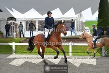 ref. photo 3561155