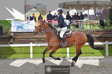 ref. photo 3561157