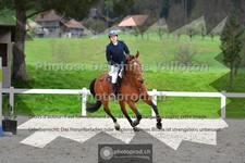 ref. photo 3561168