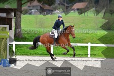ref. photo 3561173