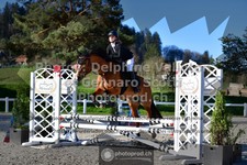 ref. photo 3561174