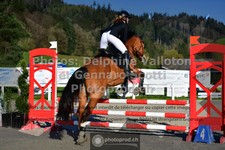 ref. photo 3561177