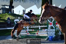 ref. photo 3561179