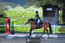 ref. photo 3561182