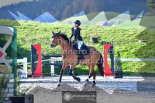 ref. photo 3561183