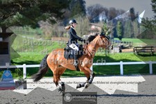 ref. photo 3561184