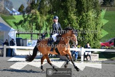 ref. photo 3561188