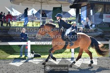 ref. photo 3561190