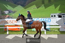 ref. photo 3561200