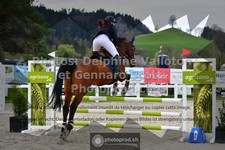 ref. photo 3561206