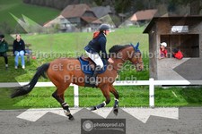 ref. photo 3561209