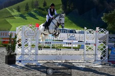 ref. photo 3561218