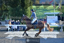 ref. photo 3561227