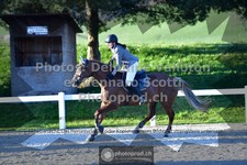 ref. photo 3561234